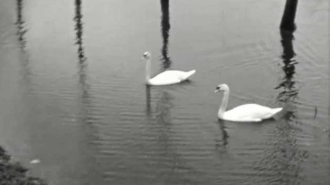 Televizní noviny - 2. dubna 1965