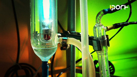 PORT - 23. května 2009