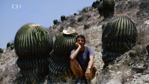 Polopatě - 28. května 2023