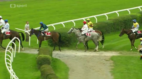 Turf - 11. září 2013