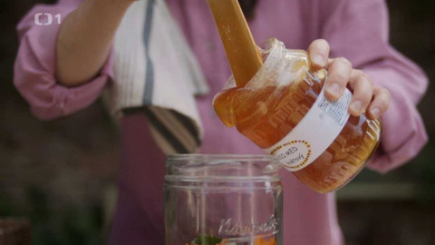 Herbář - 12. prosince 2021