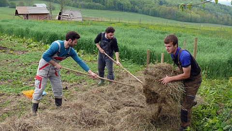 Malá farma - Ranní směna