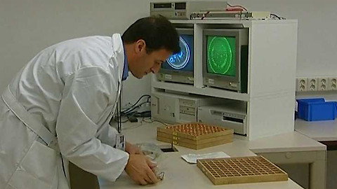 Popularis - 11. ledna 2005