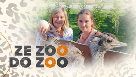 Ze ZOO do ZOO