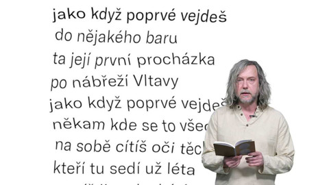 Jedna báseň - Igor Malijevský