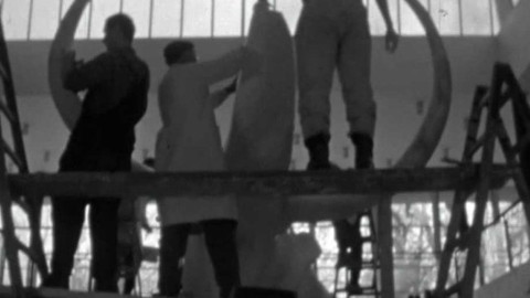 Krajové vysílání - Mamut v Pavilonu Antropos