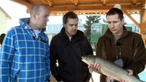 Kluci v akci - Josefská