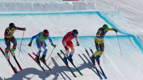 Světový pohár ve freestyle lyžování - SP Gruzie