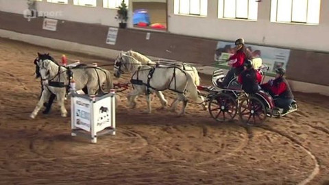 Jezdectví - Zimní Jezdecký pohár spřežení Slatiňany