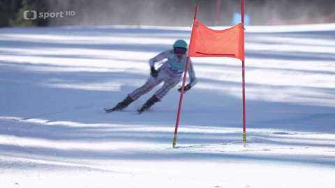 Lyžování - MČR Speed Week