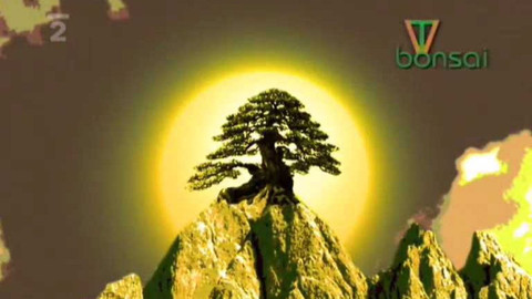 TV BONSAI - TV BONSAI... s Gustavem Oplustilem