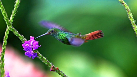 Chcete mě? - 26. května 2019