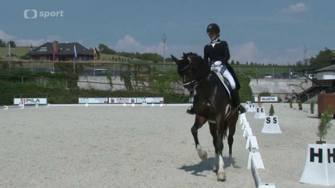 Jezdectví - M ČR v drezuře Královice