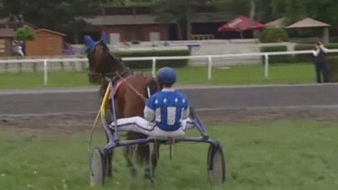 Jezdectví - Jarní cena čtyřletých