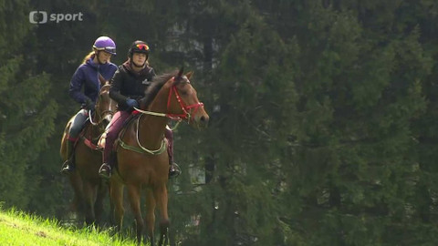 Turf - 24. května 2017