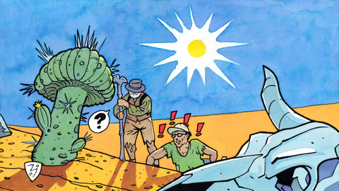 Na houby - 10/13 Teplomilné