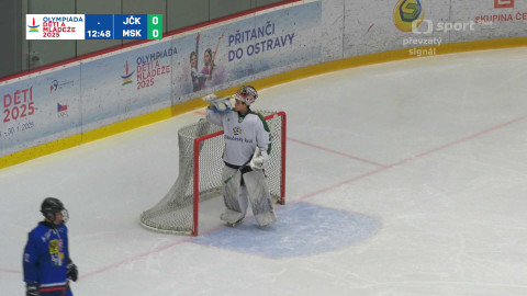 Olympiáda dětí a mládeže - ODM: Lední hokej