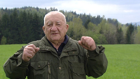 Chcete mě? - 26. května 2013