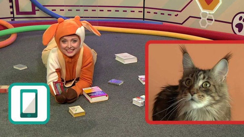 Telefon - 10. března 2017