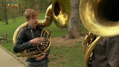 Filharmonici na ulici - Tuba