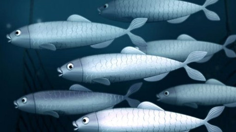 Evropské pexeso - 14/28 Lotyšsko