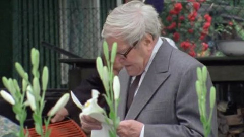 Dynastie Nováků - 9/13 Jahodový král