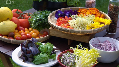 Polopatě - 27. června 2021