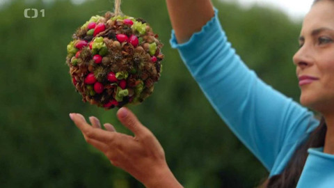 Všechno, co mám ráda - Epizoda 40/15