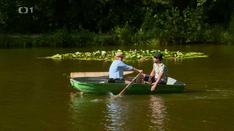 Tamtam - 12/16 Tamtam plus