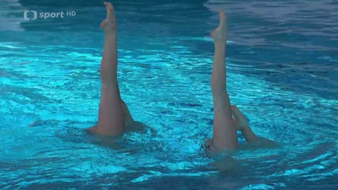 Plavání - MČR Brno