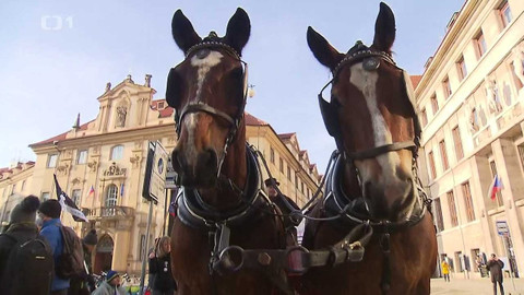 Z metropole - 5. února 2022