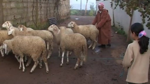 U nás na farmě - 2/26 Amira z Alžírska