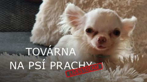 Továrna na psí prachy - livestream
