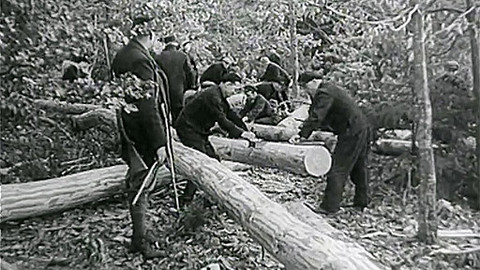 Hledání ztraceného času - Jak se co dělá (3)