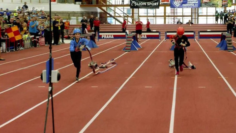 Sport v regionech - Memoriál Marty Habadové, Praha