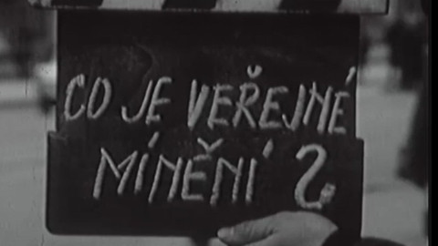 Anketa veřejné mínění