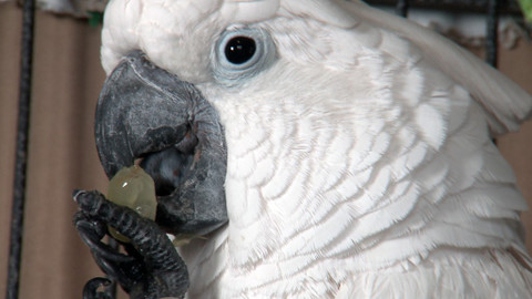 Chcete mě? - 13. března 2016