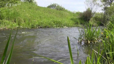 Regiony ČT24 - 29. března 2024