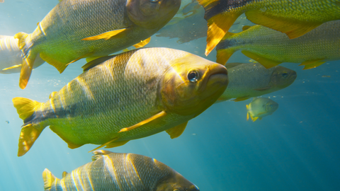 Andy a cesta kolem světa