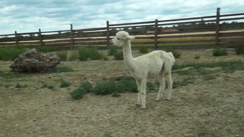 Tamtam - 5. července