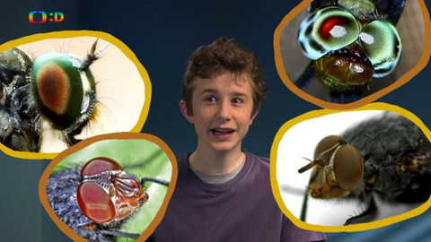 Terčin zvířecí svět - 3. dubna 2020