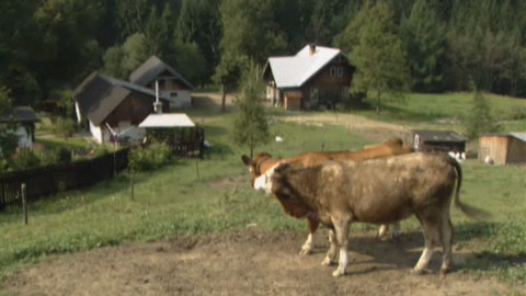 Náš venkov - Horalem z vlastní vůle