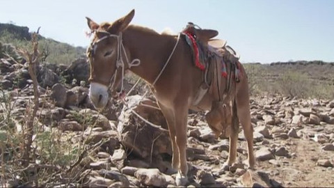 Objevování planety Oceán - 11/13 Tajemné jeskynní malby