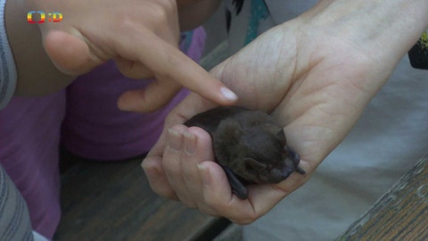 Zprávičky - 22. září