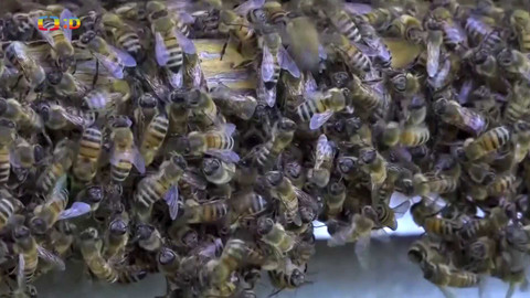 Zprávičky - 20. května 2024