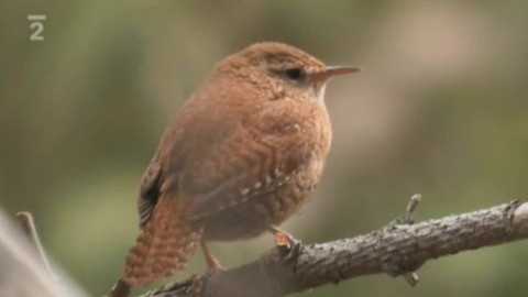 Přidej se - Slovensko III.