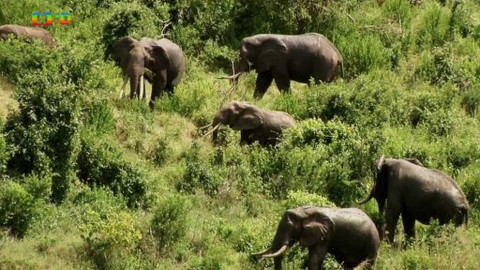 Cestohrátky - Keňa