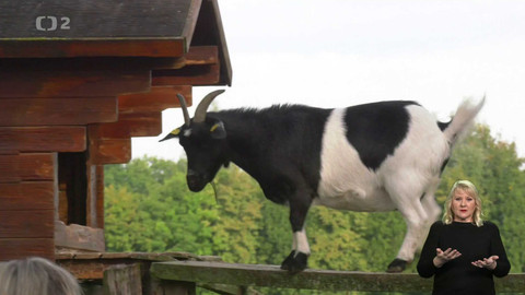 Cyklotoulky - Saské Krušnohoří