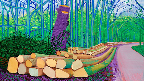Velikáni umění - David Hockney