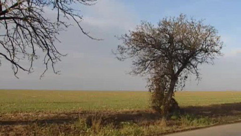 Nedej se! - Sídelní kaše